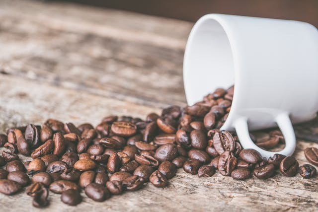 viaje del café de especialidad